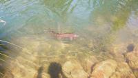 Bifogad bild: DSCN5348.JPG